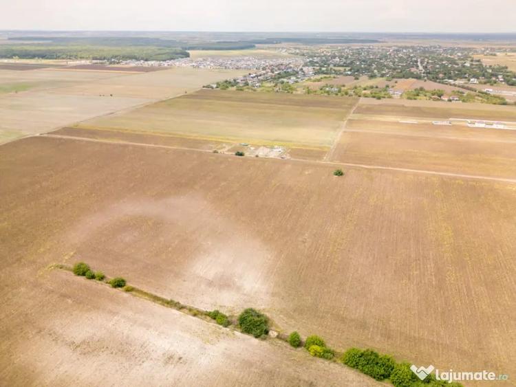 DASCALU TEREN INTRAVILAN 11300 MP, INVESTITIE! - Dascalu (Bucuresti-Ilfov) - 13