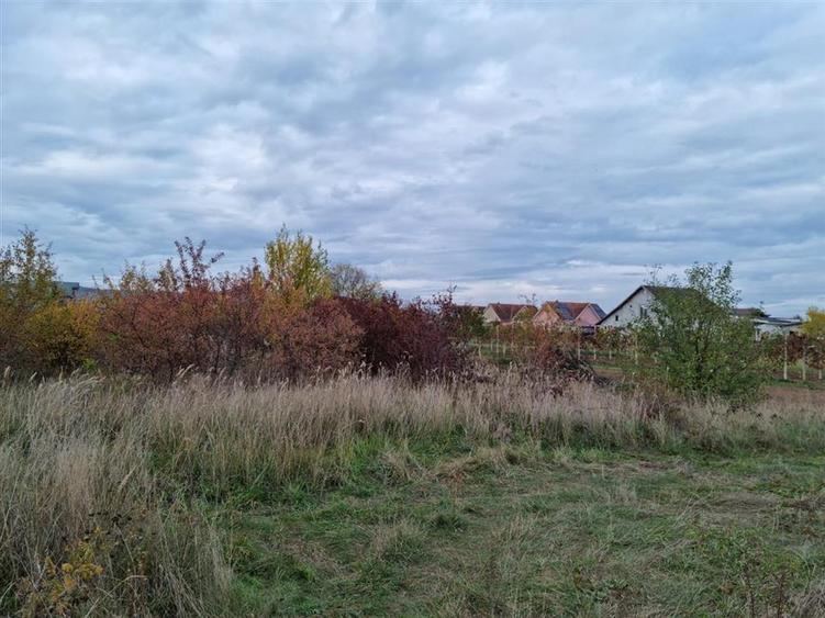 Teren Construcții intravilan de 705 mp, în Oșorhei