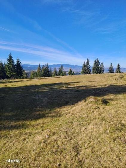 Teren de 5000 mp, în Mărișel