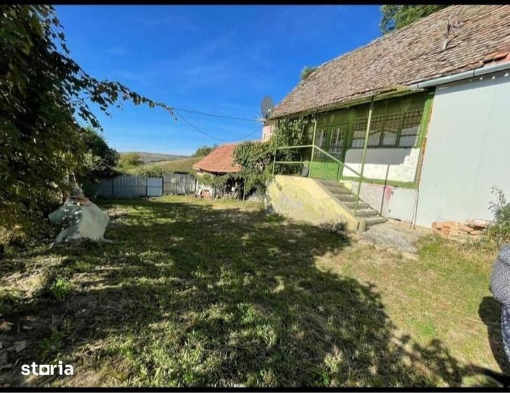 Teren de 11000 mp, în Brădeni