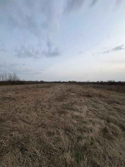 Teren agricol intravilan de 10000 mp, în Merișor
