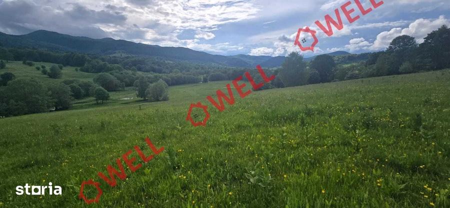 Teren de 7940 mp, în Vama Buzăului
