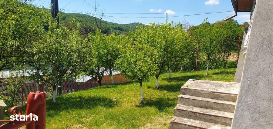 Casa de vacan?a cu teren, zona submontana, aproape de Valenii de Munte - 18