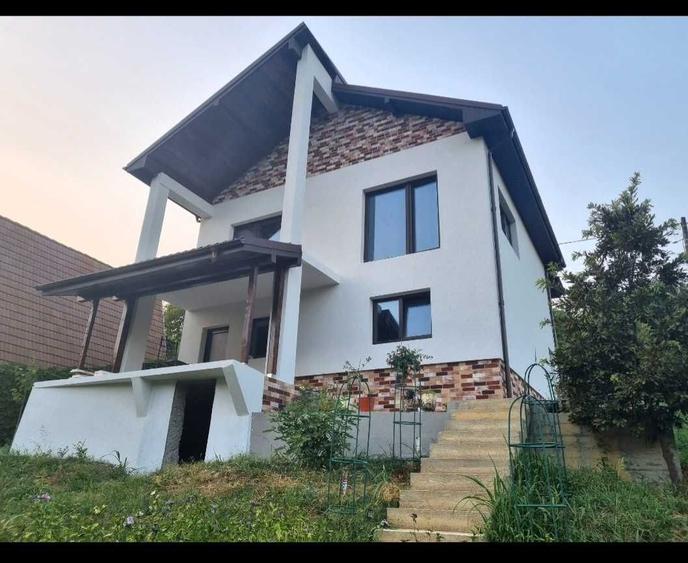Casa Leamna de Jos 2000 m2 teren - 1