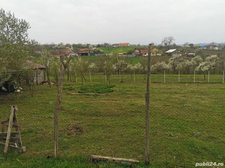 Teren de 1000 mp, în Sacoșu Mare