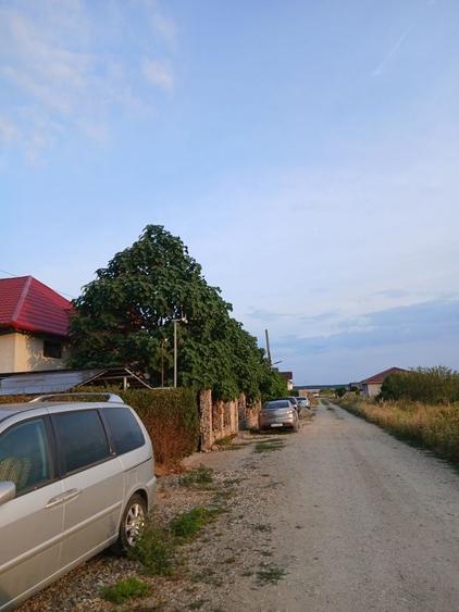 Teren de 543 mp, în Oșorhei