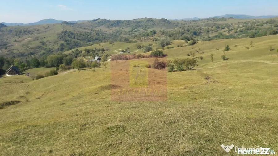Teren de 9037 mp, în Plaiul Tălii