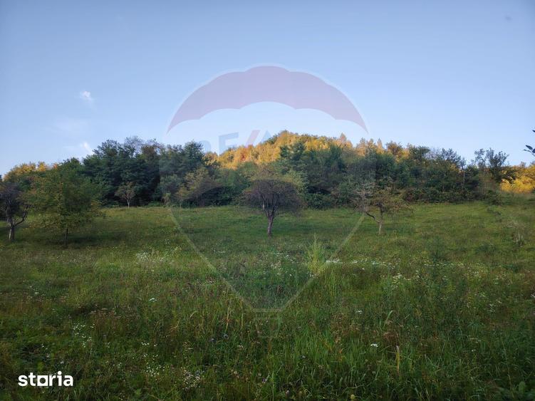 Teren de 2339 mp, în Bârsana
