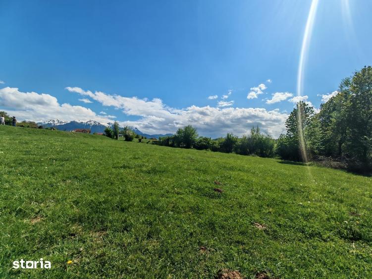 Teren de 5783 mp, în Bran