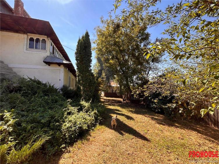 Casă cu 5 camere cu Teren 38810 Mp în Central