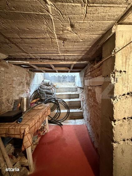 Casa pe parter, 115 mpc, 4505 mp teren, zona Bogea-Almaj - 6