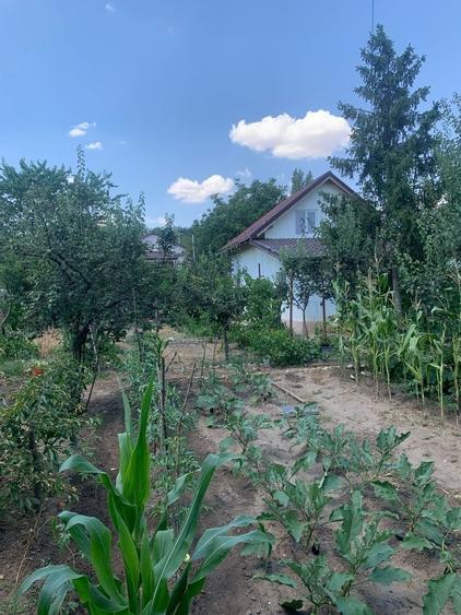 Vand casa+ teren Alexandria P+M, 630m - 9