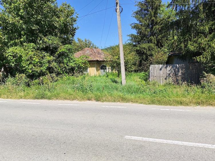 Teren de 5000 mp, în Central