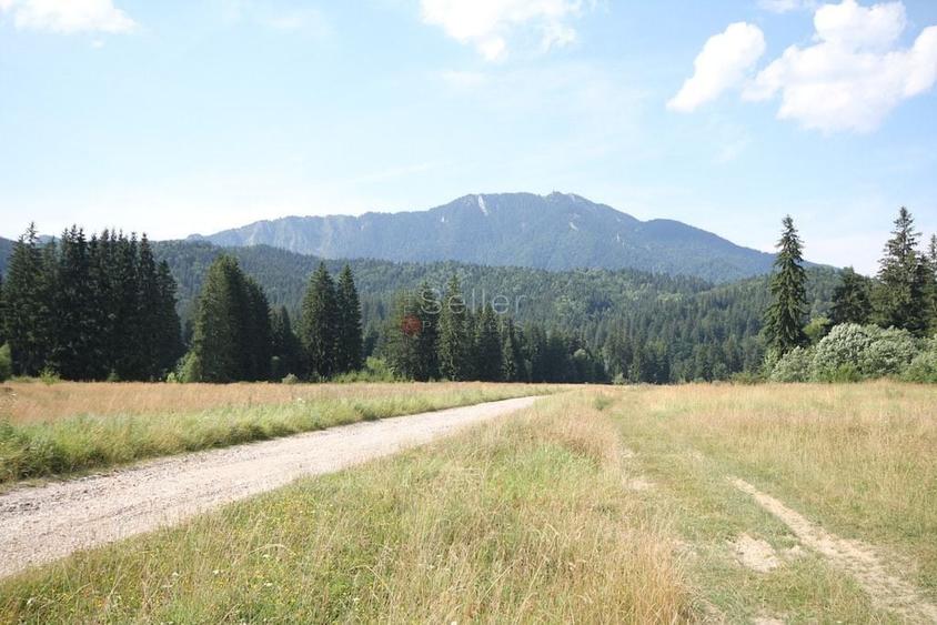 Teren Construcții intravilan de 8823 mp, în Exterior Nord