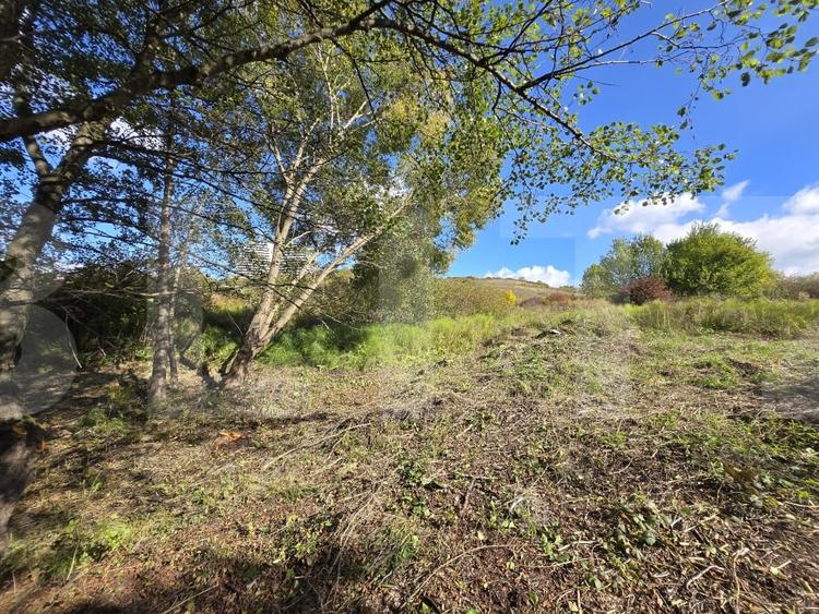 Teren 1023 mp în Cluj-Napoca, zona Câmpului – oportunitate de investiție - 7