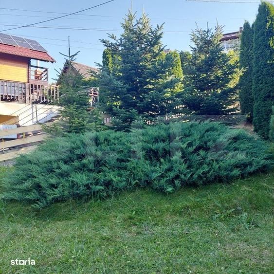 Casă cu 3 camere în Central