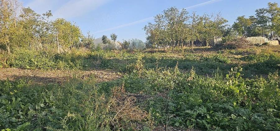 Teren de 840 mp, în Comoara