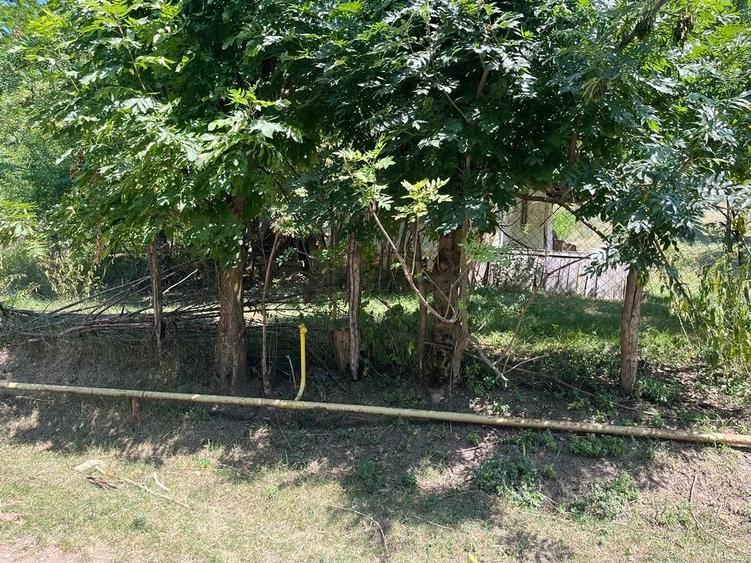 Teren de 2774 mp, în Silivașu de Câmpie