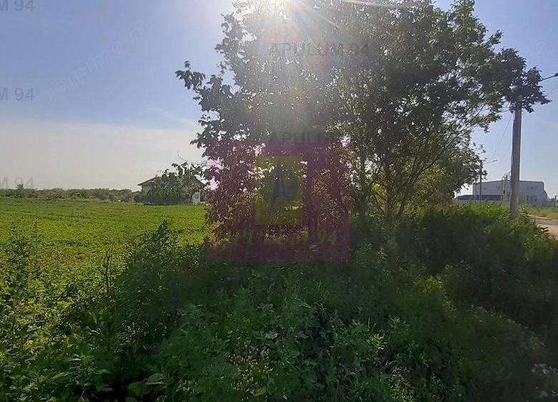 Teren de 5000 mp, în Copăceni