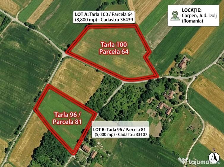 Teren de 22000 mp, în Carpen