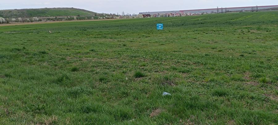 Teren agricol intravilan de 35000 mp, în Șag