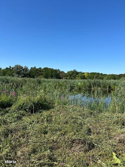 Teren cu deschidere la lac str Orhideelor-conectare imediata la curent - 5