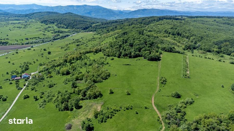 Teren 500 mp in Bradu, Sibiu 7500 Zona linistita, privelis - 5