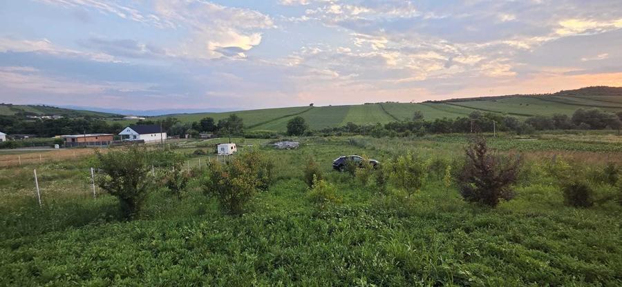 Teren de 2000 mp, în Hamba