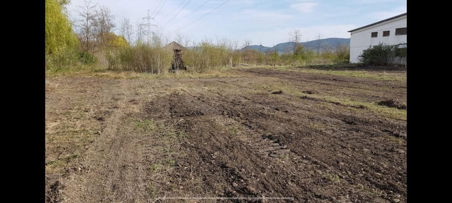 Teren Construcții intravilan de 6500 mp, în Sud