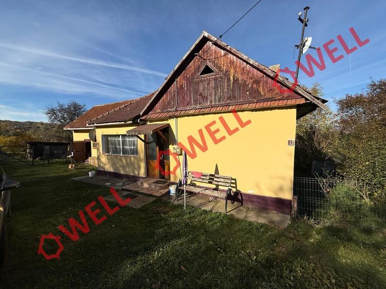 Casă individuală cu 2 camere cu Teren 4831 Mp în Sohodol
