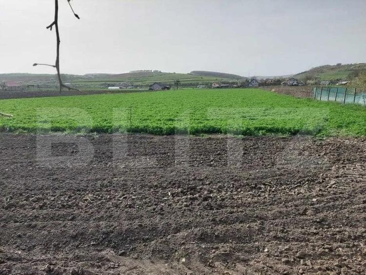 Casă individuală cu 2 camere cu Teren 8291 Mp în Iclod