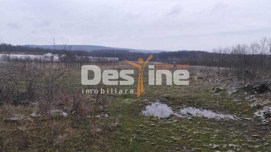 Teren Construcții intravilan de 7500 mp, în Est