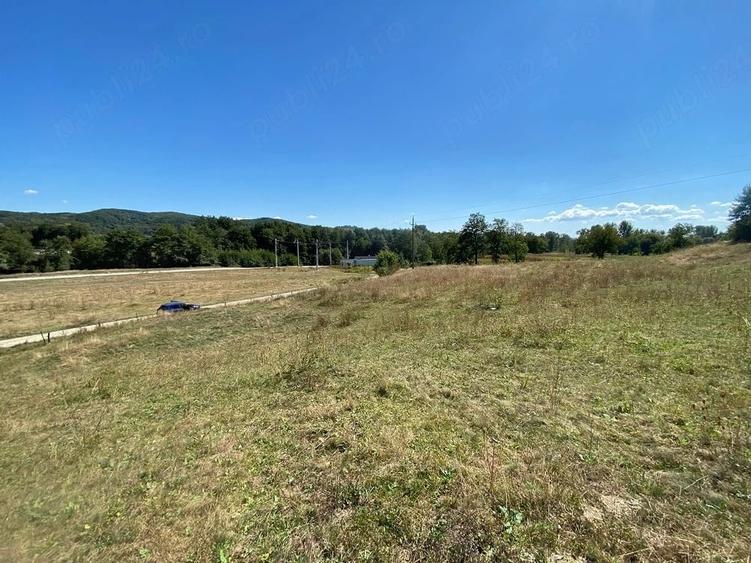 Teren de 5600 mp, în Cepari