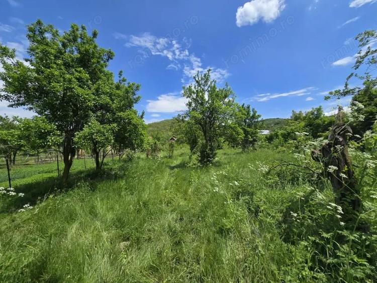 Casă cu Teren 3450 Mp în Mușătești