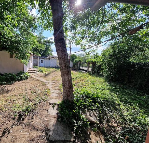 Casă cu 3 camere cu Teren 782 Mp în Suplacu de Barcău