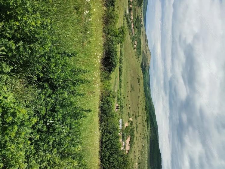 Teren de 2200 mp, în Rădaia