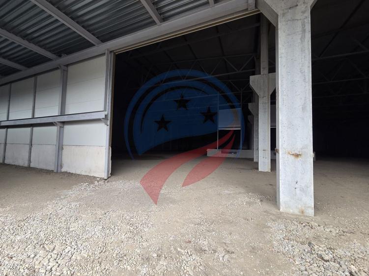 Spațiu industrial, de 4,300 mp, în Vidrasău