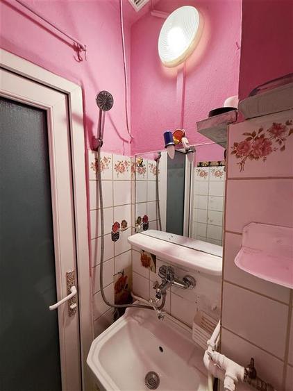 Apartament Sagului Se Accepta Pisici - 9