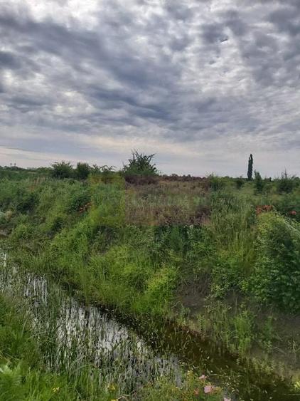 Teren agricol intravilan de 9974 mp, în Corbeanca