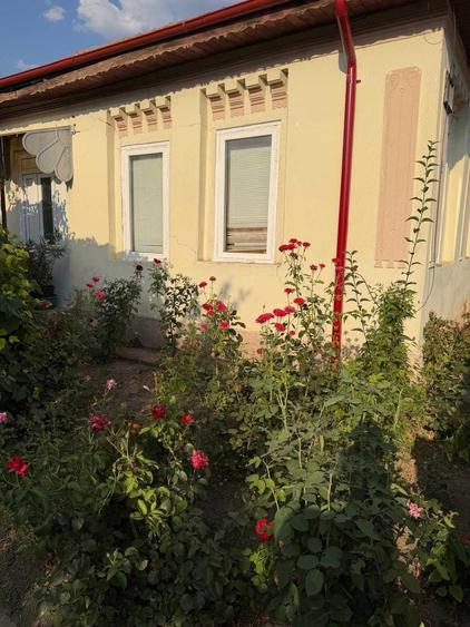 Casă cu 4 camere în Bistreț