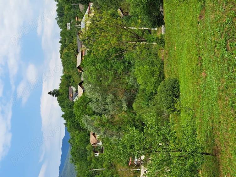 Teren de 4500 mp, în Moroeni