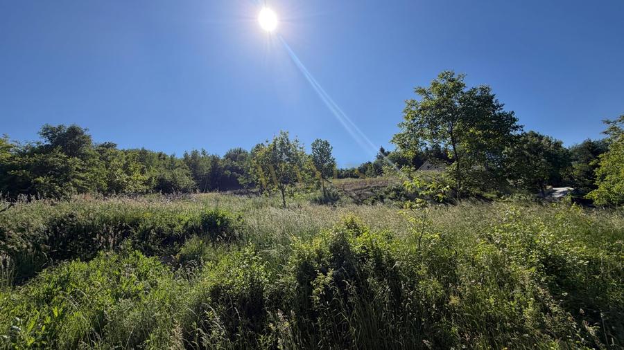 Teren Construcții intravilan de 5300 mp, în Est