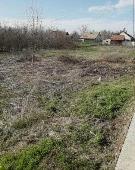 Teren de 1290 mp, în Turnu