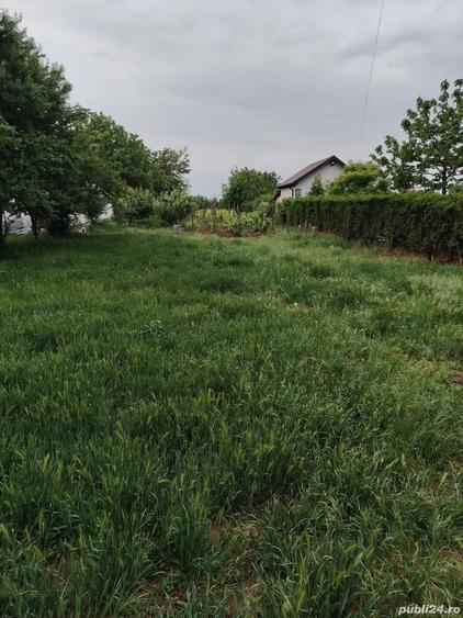 Teren de 10061 mp, în Vânători