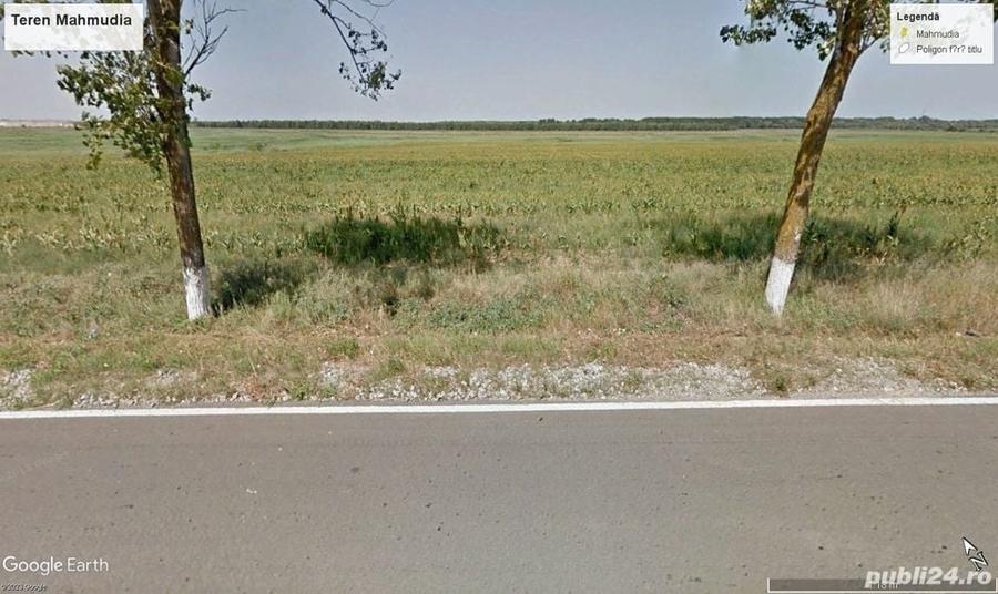Teren de 19200 mp, în Mahmudia