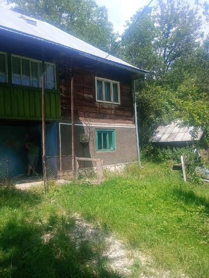 Vand casa alba sohodol - 4