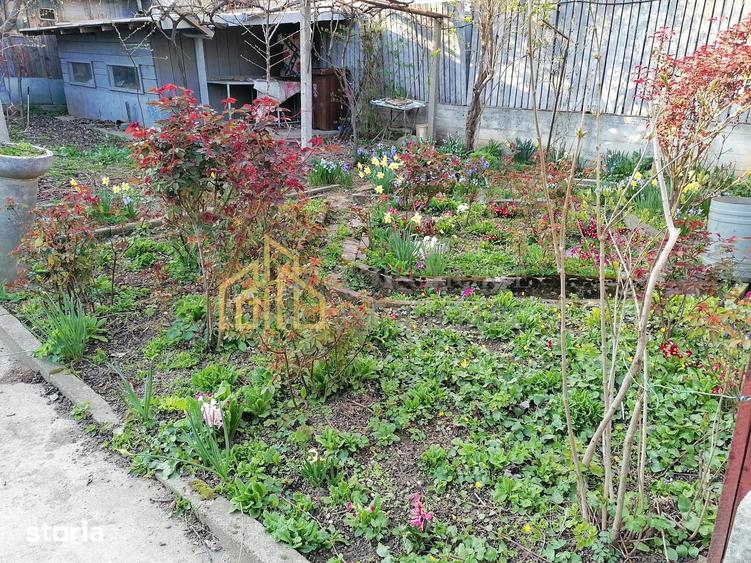 CASA 3 CAMERE SI CURTE - GIULESTI STRADA ARTARULUI - TEREN 296 MP - 8