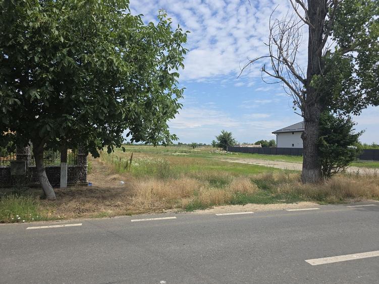 Teren Construcții intravilan de 2280 mp, în Siliștea Snagovului