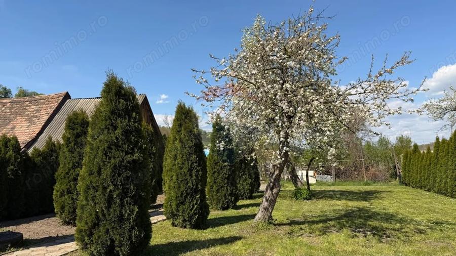 Casă cu 3 camere cu Teren 788 Mp în Biertan
