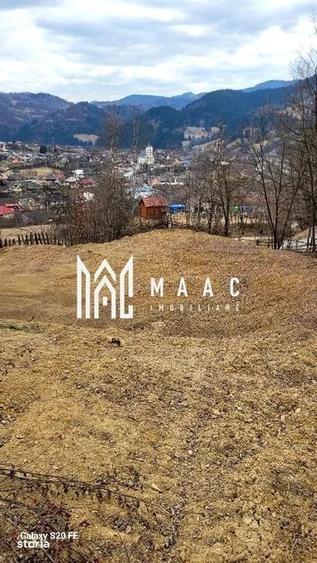 Teren de 3000 mp, în Albac